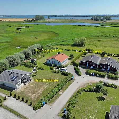 Daenische Ferienhaeuser Am Salzhaff Haus Vogelparadies Prázdninový dům Insel Poel