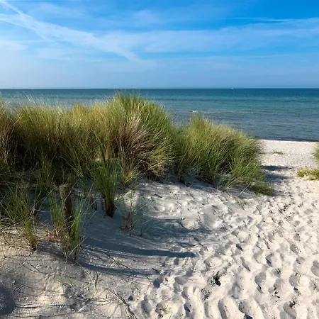 Daenische Ferienhaeuser Am Salzhaff Haus Vogelparadies