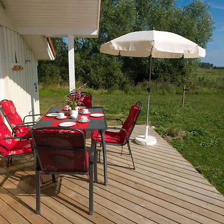 Daenische Ferienhaeuser Am Salzhaff Haus Vogelparadies Prázdninový dům *