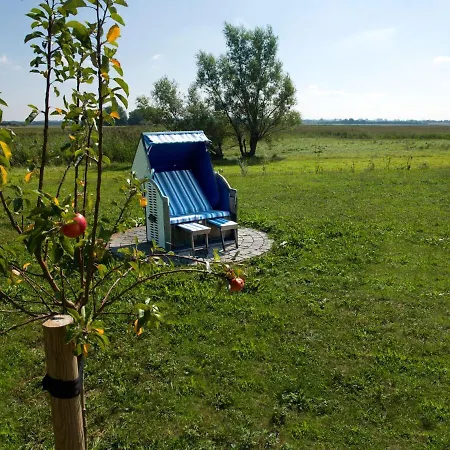 Daenische Ferienhaeuser Am Salzhaff Haus Vogelparadies *