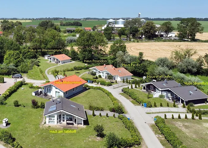 Dom wakacyjny Daenische Ferienhaeuser Am Salzhaff Haus Vogelparadies *