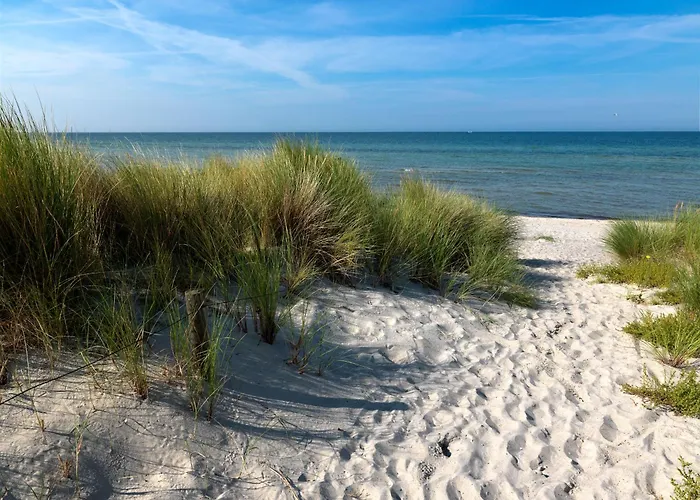 Daenische Ferienhaeuser Am Salzhaff Haus Vogelparadies