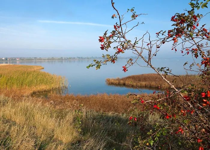 Daenische Ferienhaeuser Am Salzhaff Haus Vogelparadies