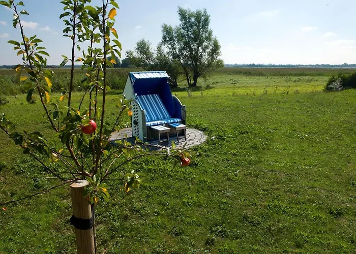 Daenische Ferienhaeuser Am Salzhaff Haus Vogelparadies *